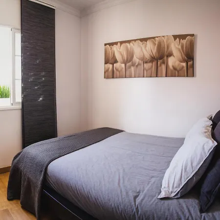 Canary Treasure La Laguna Exclusiveness Prime Location La Laguna (Tenerife)