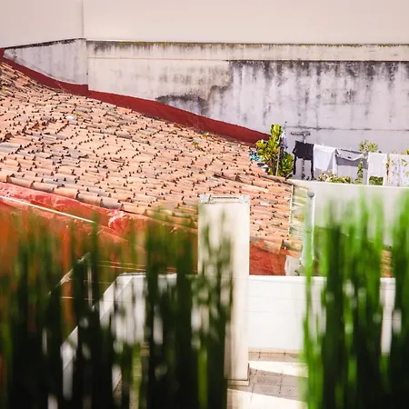Canary Treasure La Laguna Exclusiveness Prime Location Apartment